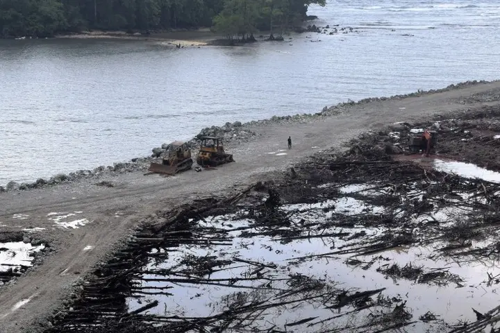 Mangroves removed for log pond construction in East Are'Are, Malaita Province, Solomon Islands.