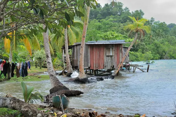 Today, a number of locations within the Solomon Islands are facing immediate and direct climate change impacts such as sea-level rise and food and water insecurity.