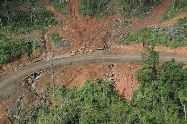 Tahnimana said preliminary reports say that the deceased was felling a massive tree at the time when a branch from another tree nearby got caught, snapped and hit the deceased’s head who died instantly.