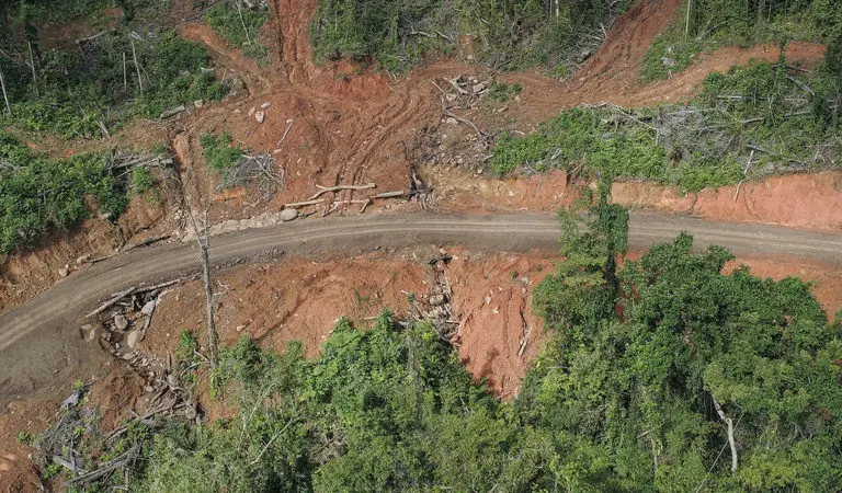 Tahnimana said preliminary reports say that the deceased was felling a massive tree at the time when a branch from another tree nearby got caught, snapped and hit the deceased’s head who died instantly.