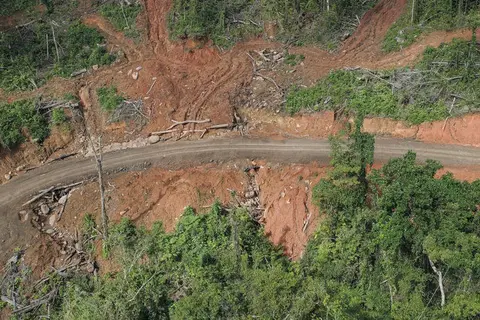 Tahnimana said preliminary reports say that the deceased was felling a massive tree at the time when a branch from another tree nearby got caught, snapped and hit the deceased’s head who died instantly.