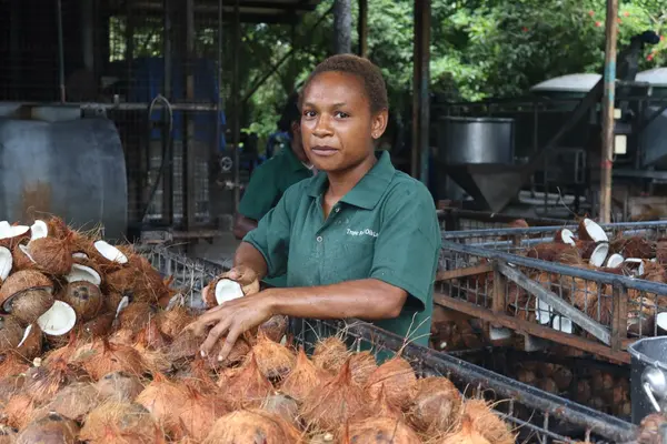 Elmah Abel of Niu Organics sorting through coconuts at the mill in East New Britain Province, Papua New Guinea.