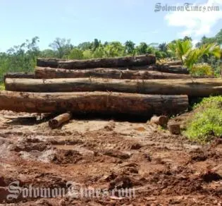 The report states that macroeconomic performance has been favorable owing to strong agricultural and logging production as well as a large mining investment.
