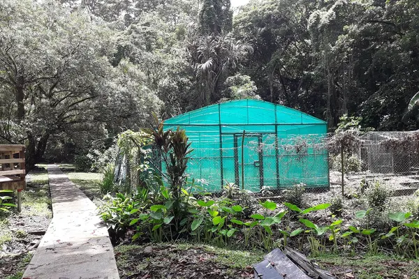Its aim is to attract visitors and families to the garden. But since its upgrade more and more unwanted activities are taking place at the garden.