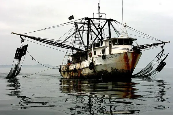 The IUU Regulation is the EU's main tool in the fight against illegal fishing.