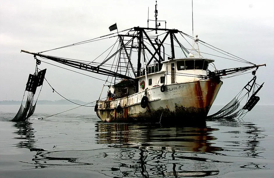 The IUU Regulation is the EU's main tool in the fight against illegal fishing.