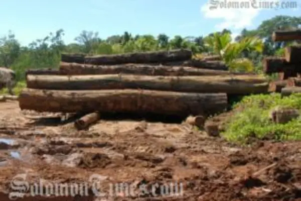 Kabutaulaka states that the decline in income from the logging industry is an opportune time to relook at our economy.