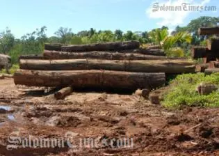 Kabutaulaka states that the decline in income from the logging industry is an opportune time to relook at our economy.