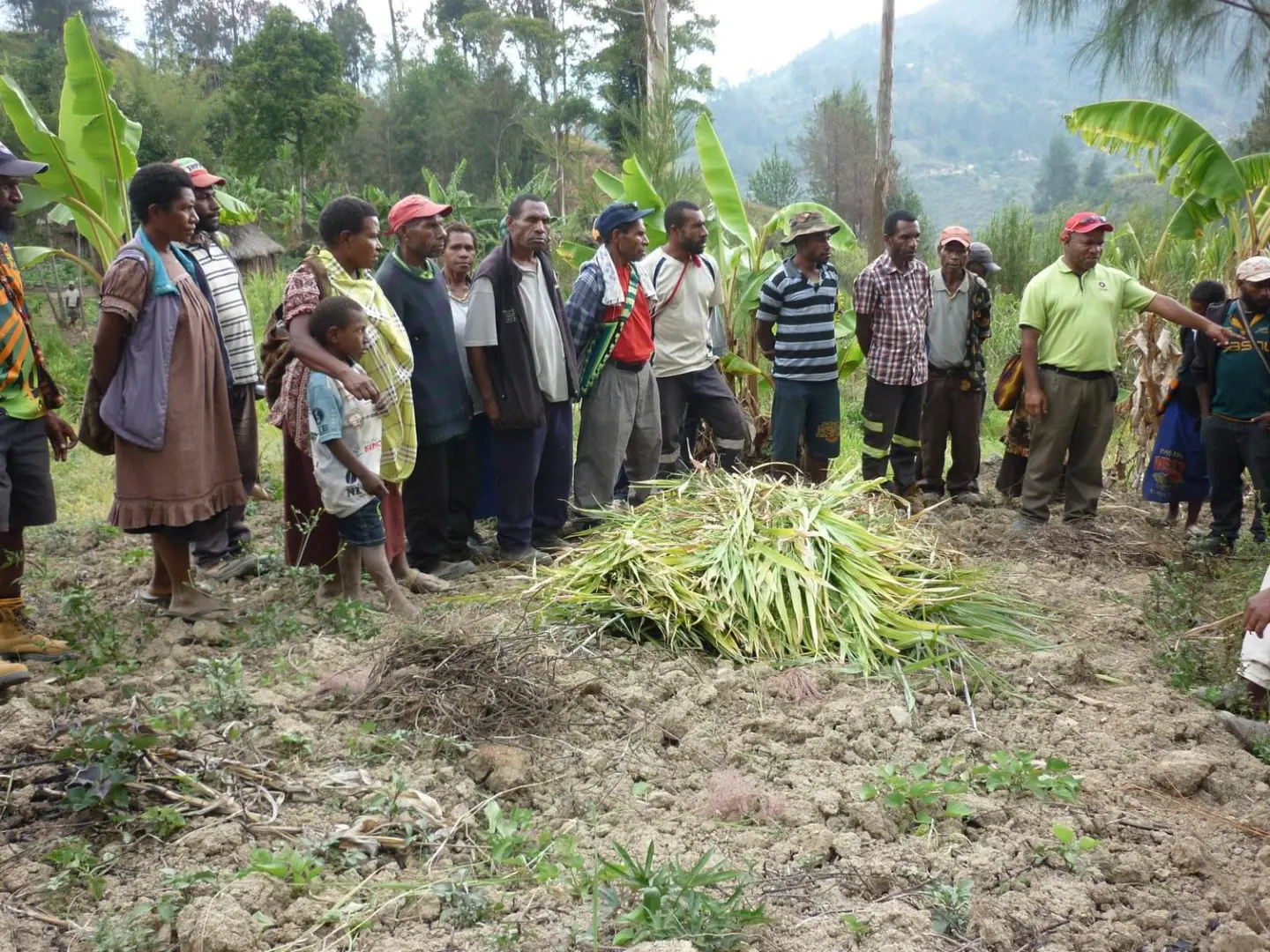 Drought adaptation training in Simbu Province, Papua New Guinea.