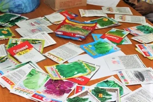 Seeds confiscated during the operation.