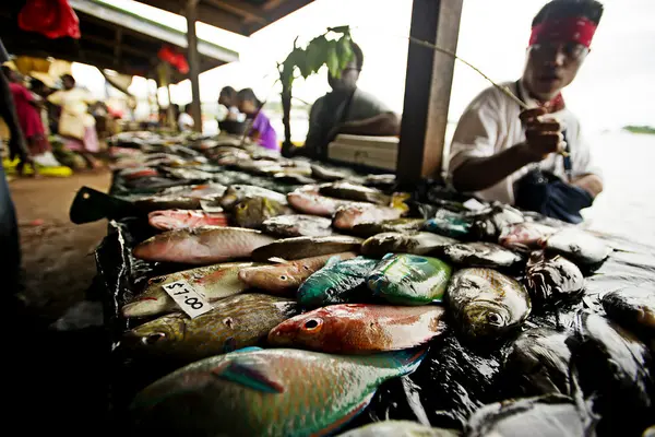 MPs Urged to Focus on Agriculture and Fisheries
