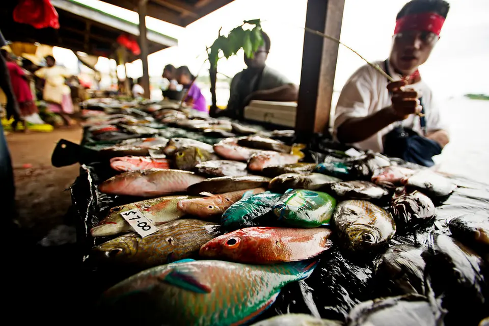 MPs Urged to Focus on Agriculture and Fisheries