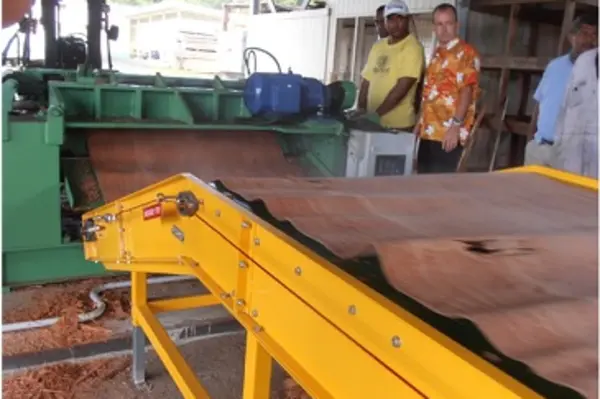 Utilising Senile Coconut Palm Stems in the Pacific