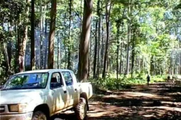 KFPL operates a 14,400 hectare certified-sustainable forest plantation on Kolombangara Island in Western Province.