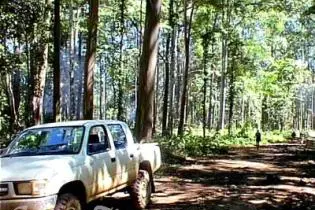 KFPL operates a 14,400 hectare certified-sustainable forest plantation on Kolombangara Island in Western Province.