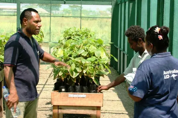 Dr Konam (L) supported the work of agriculture extension officers to train farmers on the importance of integrated pest and disease management in cocoa gardens.