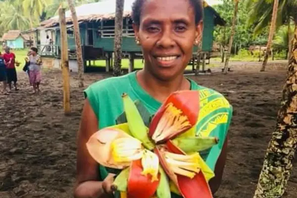 Preparations Underway for 3rd Makira Banana Festival