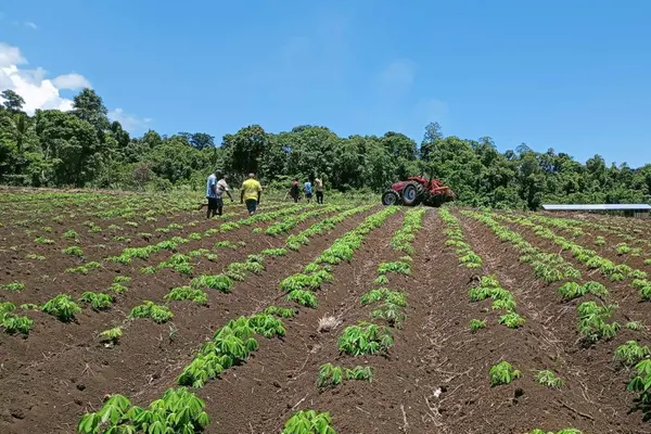 One of the donated tractors being used at the Varivao Ltd holdings farm on Guadalcanal.