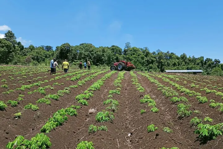One of the donated tractors being used at the Varivao Ltd holdings farm on Guadalcanal.