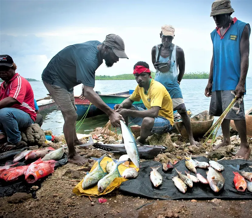 Aside from providing mush needed protein, inshore fishery is an important source of income for local fisherman. A report in 2015 suggests that inshore fishery is worth close to SBD$90 million annually.