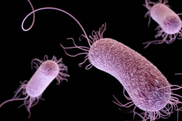 NRH explains that the misuse of antibiotics (e.g. Amoxil, cloxacillin, septrin, flagyl) by self-medication, demanding from health workers (doctors, nurses, pharmacist), seeking self-prescription, under dosing, overdosing, inappropriate duration are part of the causation of the development of superbug or AMR.