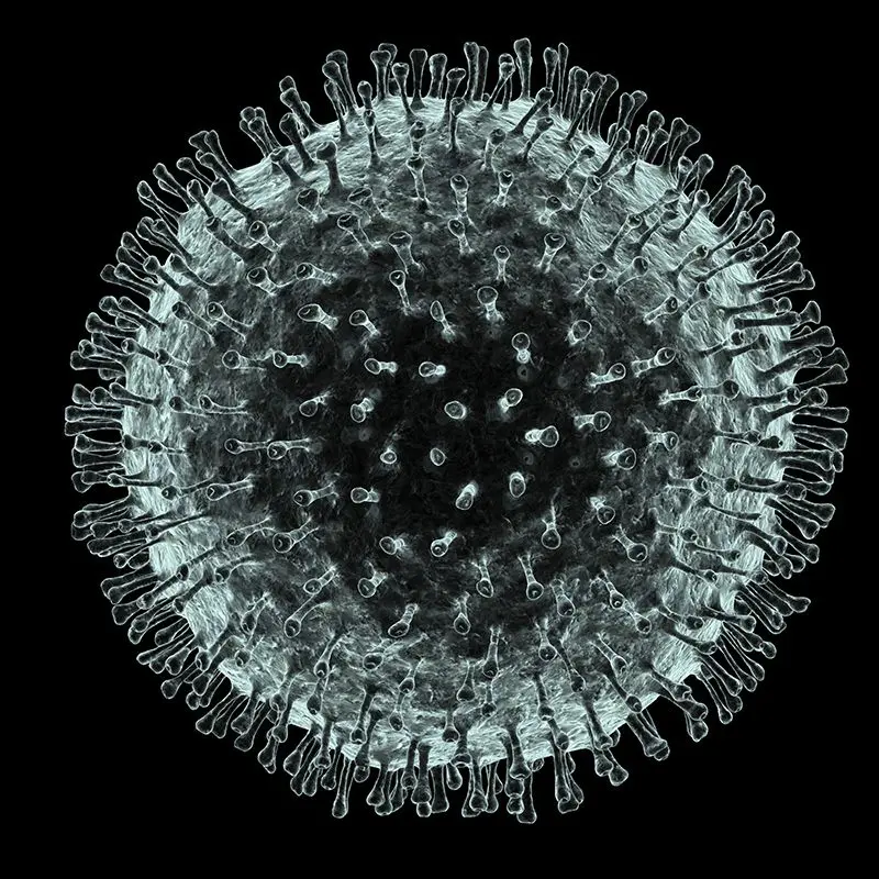 Health experts fear the COVID-19 Coronavirus is on the verge of spreading across the world.