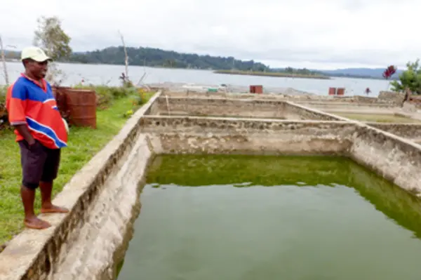 SPC Works to Strengthen Pacific Aquaculture Farmer Groups