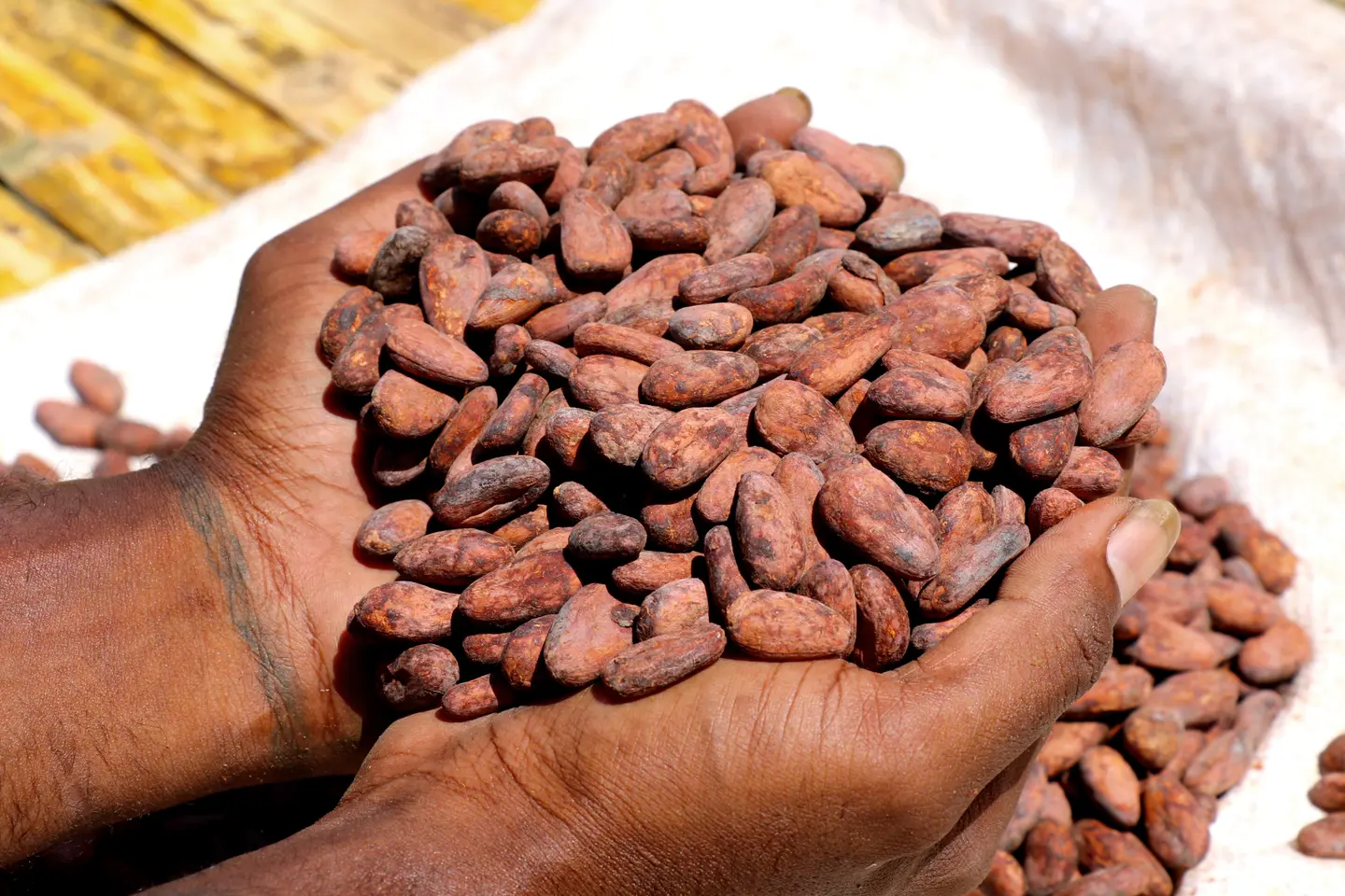 The main buyers of products like timber, cocoa, tuna, copra, though hard hit, were able to absorb the country's export.