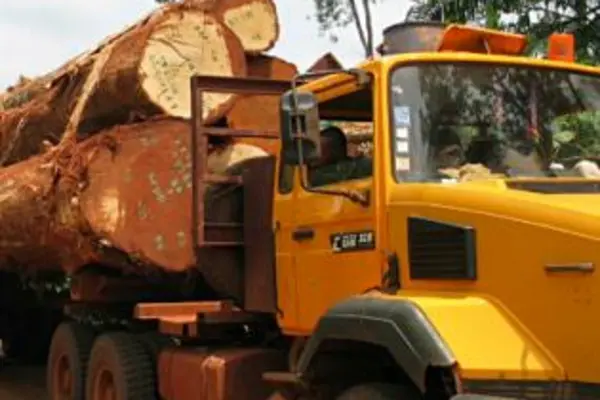 TSI encourages the Ministry to ensure that leaders, administrators and loggers do not escape the law.