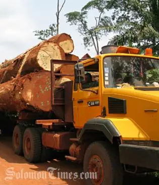 TSI encourages the Ministry to ensure that leaders, administrators and loggers do not escape the law.