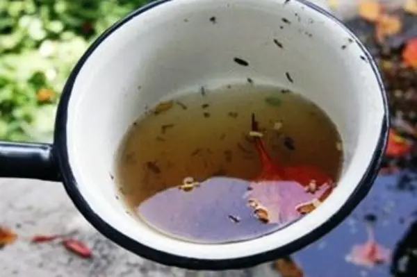 “People should empty out anything that stores water, particularly during this rainy season, so empty out coconut shells, plastic bottles or anything that will help the mosquitoes breed further.”