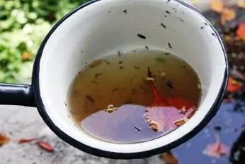 “People should empty out anything that stores water, particularly during this rainy season, so empty out coconut shells, plastic bottles or anything that will help the mosquitoes breed further.”