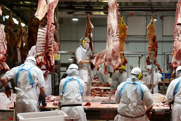 Most Pacific Labour Scheme (PLS) workers are employed in abattoirs – at last count it was two-thirds of the 6,000 plus PLS workers now in Australia.
