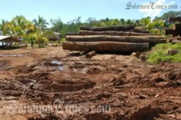 Assistance to the Solomon Islands by ADB will help diversify the economy away from a dependency on logging.