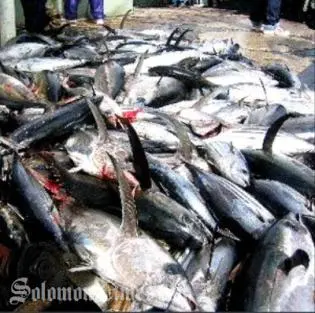 Profits these fishing vessels make are in the hundreds of millions of dollars annually.