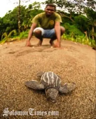 Local scientist Mr Boseto says they want to "tell the world how special the Solomon Islands are and showcase some of the little known fish and other exceptional natural features of the country."