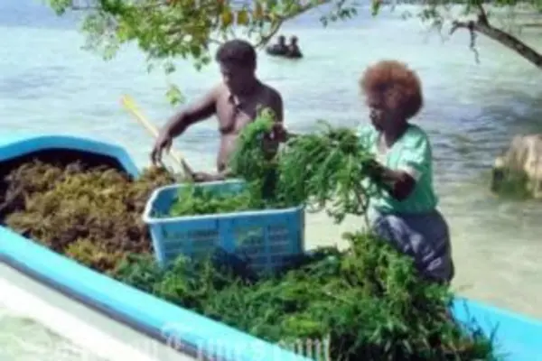 Pacific Nations Discuss Climate Change Impact on Food, Drinking Water