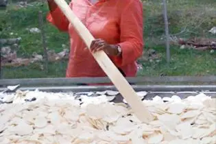 Pacific Food Entrepreneurs Find New Uses for Old Ingredients