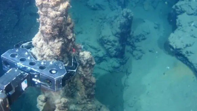 “The message is: people in the island don't want any deep sea mining activity in the EEZ, nor the area. So that was the loud message that came through.”