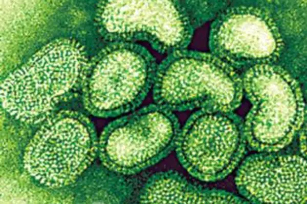 The Swine flu taskforce is appealing to people who arrived in the country on board Pacific Blue flight DJ-169 last Thursday to contact them or medical authorities.