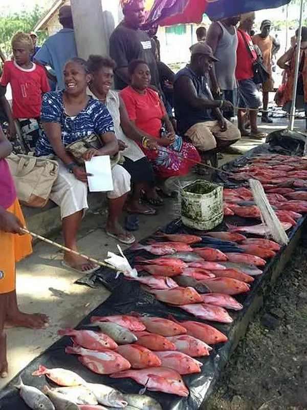 The new program will work with businesses over four years to provide tools to “recruit, retain, and promote women” throughout companies in the Solomon Islands – from the executive level to non-traditional roles.
