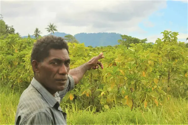 “The farm is now overtaken by thick bush, which is a waste, we had some big plans when we started planting noni in 2017."