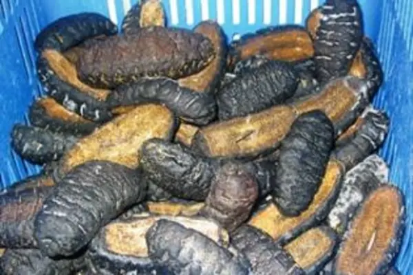 He told SIBC News that the beche de mer shipment could have fetched close to four million dollars had it been exported.