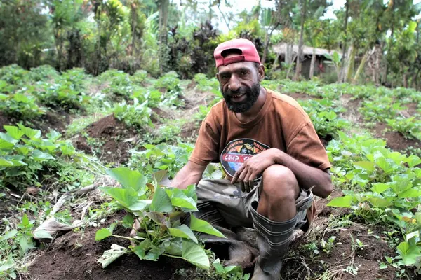 While it is difficult to know what the profit increase would be once various costs are taken into account, it is clear that significantly more kina could have been entering rural and remote economies in PNG since 2015.