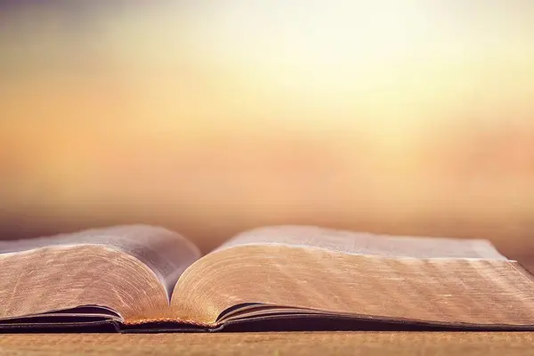 "Any MOU between the churches and the government must protect this arms-length relationship and the prophetic voice role of the church,” added Hon. Wale.