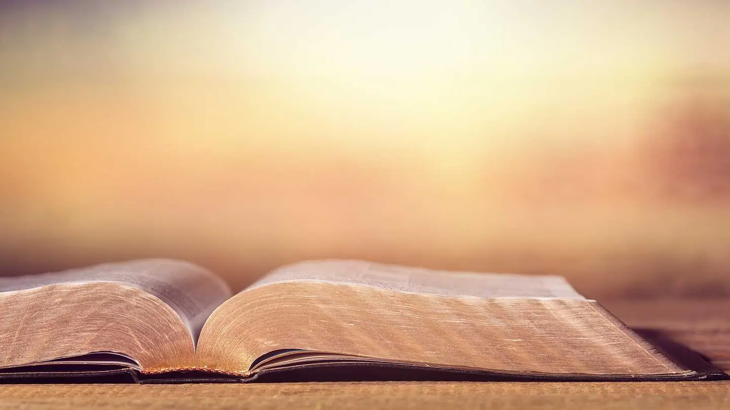 "Any MOU between the churches and the government must protect this arms-length relationship and the prophetic voice role of the church,” added Hon. Wale.