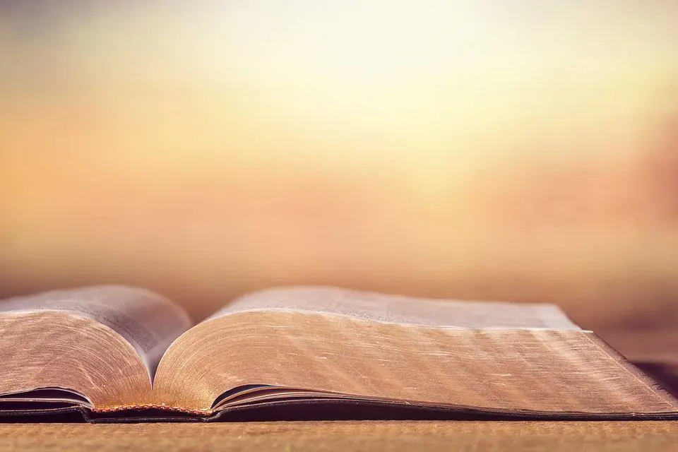 "Any MOU between the churches and the government must protect this arms-length relationship and the prophetic voice role of the church,” added Hon. Wale.