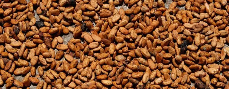 Some market analysts are even more concerned, forecasting a cocoa surplus of 250,000 tonnes for the 2016-2017 harvest.