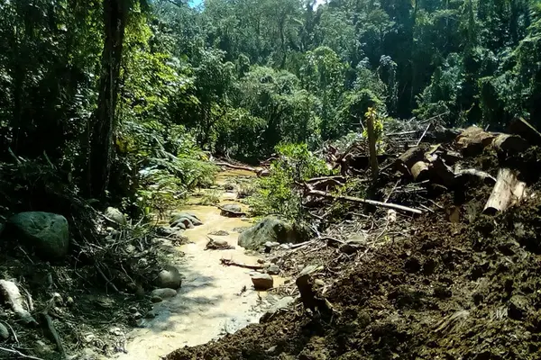 Sediment run-off from logged areas at the Kongulai catchment area.