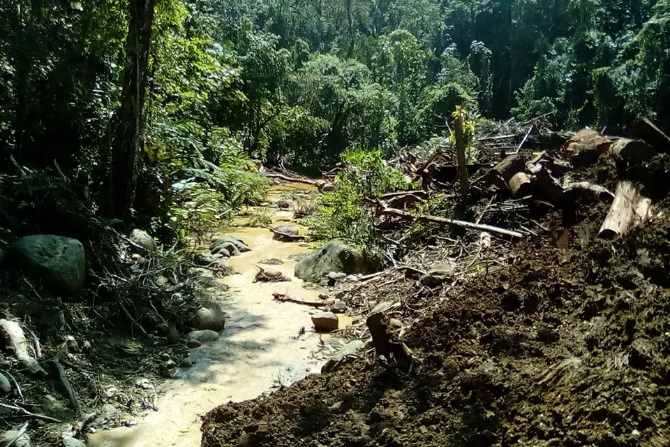 Sediment run-off from logged areas at the Kongulai catchment area.